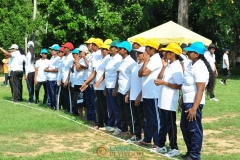Lanka-Playwood-PVT-Ltd-Cricket-Match-56